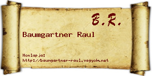 Baumgartner Raul névjegykártya